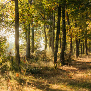 Balle égarée – Tirage photo fine art noir et blanc - Edition limitée